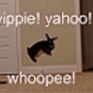 Meet your Posher, Lunaz